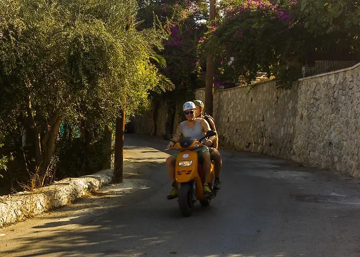 By Climbing House شقة فندقية